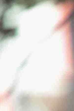 Demonstrators march through downtown calling for the abolition of the U.S. Immigration and Customs Enforcement (ICE) on August 16, 2018 in Chicago, Illinois. The demonstrators were also calling for defunding local police. Photo by Scott Olson/Getty Images