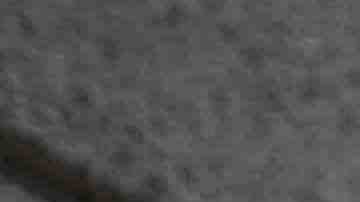 Razor wire is seen on the Metropolitan Detention Center prison as mass arrests by federal immigration authorities, as ordered by the Trump administration, were supposed to begin in major cities across the nation on July 14, 2019 in Los Angeles, California. Photo by David McNew/Getty Images