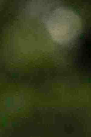 Protestors rally against Ricardo Rossello, the Governor of Puerto Rico, in Columbus Circle on July 22, 2019 in New York City. Photo by Drew Angerer/Getty Images