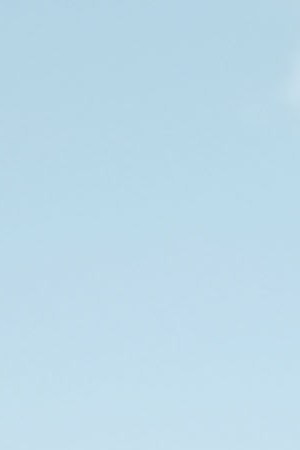 Hundreds of people gather in lower Manhattan for a "Lights for Liberty" protest against migrant detention camps and the impending raids by Immigration and Customs Enforcement (ICE) this coming weekend in various cities on July 12, 2019 in New York City. Photo by Spencer Platt/Getty Images