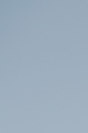 Protestors gather before a candlelight vigil outside City Hall, while demanding the resignation of Ricardo Rossello, the Governor of Puerto Rico, on July 22, 2019 in Los Angeles, California. Photo by Mario Tama/Getty Images