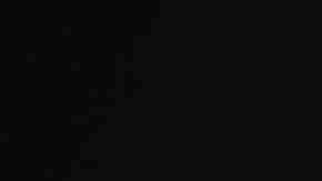 Selenis Leyva, Danielle Brooks, Diane Guerrero, Beth Dover, Jason Biggs, Jackie Cruz, Uzo Aduba, Alysia Reiner, Natasha Lyonne, Jessica Pimentel, Taylor Schilling, Laura Prepon, and Laverne Cox attend 'Orange Is The New Black' Final Season Premiere at Alice Tully Hall on July 25, 2019 in New York. Photo by Dimitrios Kambouris/Getty Images