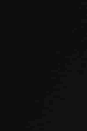 Selenis Leyva, Danielle Brooks, Diane Guerrero, Beth Dover, Jason Biggs, Jackie Cruz, Uzo Aduba, Alysia Reiner, Natasha Lyonne, Jessica Pimentel, Taylor Schilling, Laura Prepon, and Laverne Cox attend 'Orange Is The New Black' Final Season Premiere at Alice Tully Hall on July 25, 2019 in New York. Photo by Dimitrios Kambouris/Getty Images