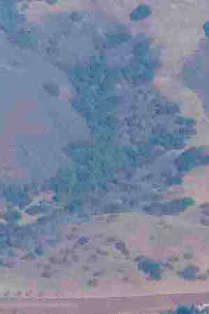 Photo by Derek_Neumann /  
iStock / Getty Images Plus