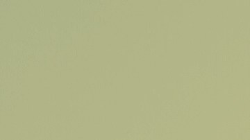 Video still courtesy the artist