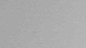 Editorial / Getty 2019