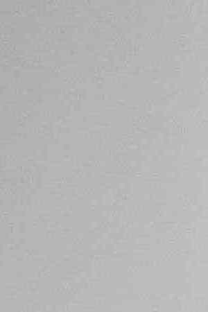 Editorial / Getty 2019