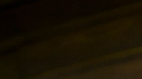 Photo by Mariela Víquez.