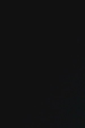 Photo courtesy the artist