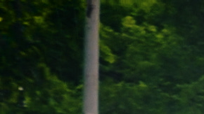 Video still courtesy of the artist