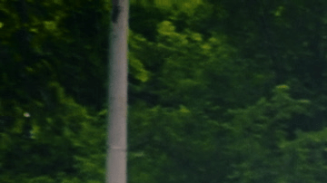 Video still courtesy of the artist