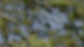 'Queering the Script' still courtesy of Outfest