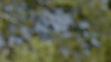 'Queering the Script' still courtesy of Outfest