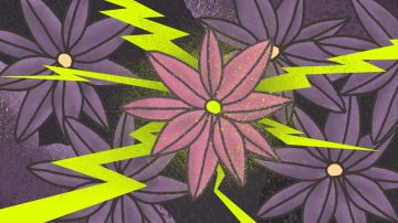 Art by Alan López for Remezcla