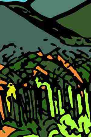 Illustration by José Oscar González