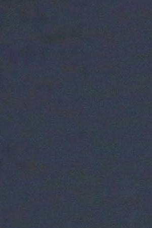 Photo by Getty Images