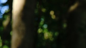 Photo by Holland Brown. Courtesy of Cascine