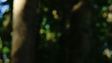 Photo by Holland Brown. Courtesy of Cascine