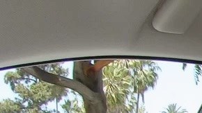 Still from The Accelerators, Episode 2