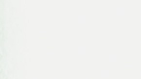 Photo by Raptographer