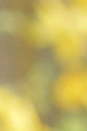 Ambar Lucid_Itzel Alejandra 8