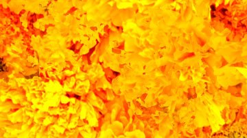 Art by Alan López for Remezcla