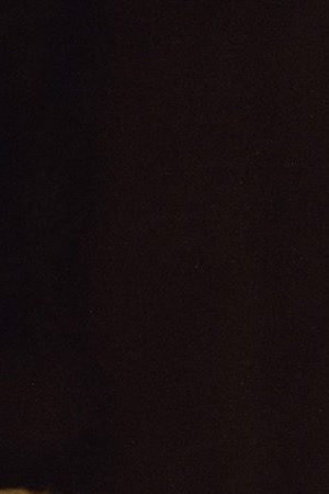 Photo by Cesar Berrios. Courtesy the artist