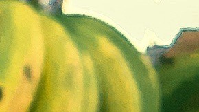 Photo by David Rondón. Courtesy of the artist