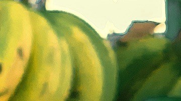 Photo by David Rondón. Courtesy of the artist