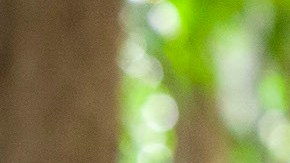 Angela Cano and Miguel Ramos in 'Frontera Verde.' Photo by Juan Pablo Gutiérrez. Courtesy of Netflix