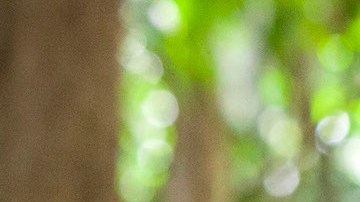 Angela Cano and Miguel Ramos in 'Frontera Verde.' Photo by Juan Pablo Gutiérrez. Courtesy of Netflix