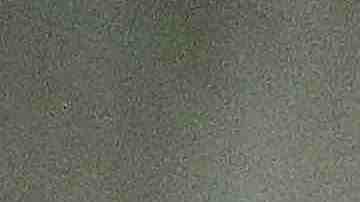 Civil rights activist Dolores Huerta, 88, marches during an International Women's Strike rally on March 08, 2019 in Los Angeles, California. Photo by Mario Tama/Getty Images