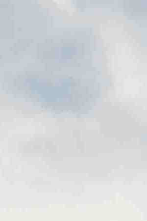 People hold up signs protesting against the U.S. Immigration and Customs Enforcement agency on August 10, 2019 in New York City. Photo by David Dee Delgado/Getty Images