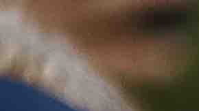 Lupe Lopez carries a photo of Elsa Mendoza Marquez, a Mexican schoolteacher from across the border in Ciudad Juarez who was killed in the shooting, which left at least 20 people dead, on August 4, 2019 in El Paso, Texas. Photo by Mario Tama/Getty Images