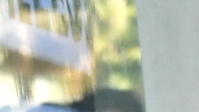 Guillermo del Toro appears at the Hollywood Walk of Fame ceremony honoring Guillermo del Toro on August 06, 2019 in Hollywood, California. Photo by Kevin Winter/Getty Images