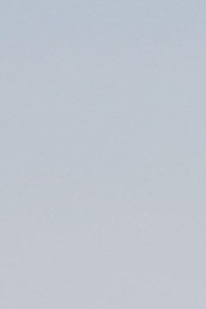 The Mexican and U.S. flags fly at a makeshift memorial honoring victims outside Walmart, near the scene of a mass shooting which left at least 22 dead. (Photo by Mario Tama/Getty Images)