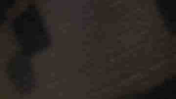 Photo by inhauscreative / E+