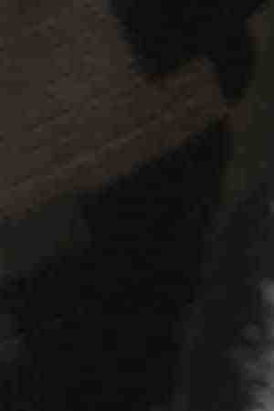 Photo by inhauscreative / E+