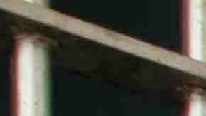 Photo by MivPiv / iStock / Getty Images Plus