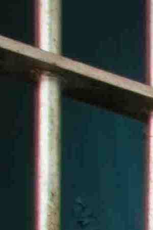 Photo by MivPiv / iStock / Getty Images Plus