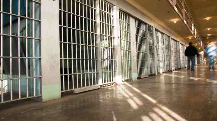 Photo by MivPiv / iStock / Getty Images Plus