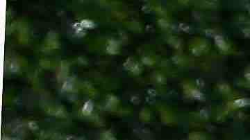 Actress Vannessa Vasquez attends the Hulu 2015 Summer TCA Presentation at The Beverly Hilton Hotel on August 9, 2015 in Beverly Hills, California. Photo by Tommaso Boddi/Getty Images