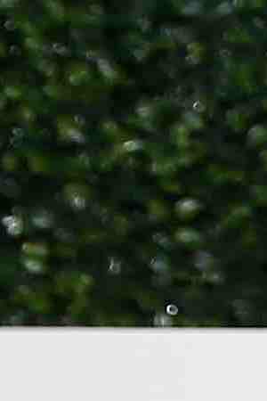 Actress Vannessa Vasquez attends the Hulu 2015 Summer TCA Presentation at The Beverly Hilton Hotel on August 9, 2015 in Beverly Hills, California. Photo by Tommaso Boddi/Getty Images