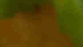 Photo by alisafarov / 
iStock / Getty Images Plus