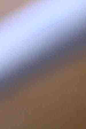 Photo by Alexandralaw1977 / iStock / Getty Images Plus