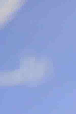 President of the PluriNational State of Bolivia Evo Morales Ayma speaks during a press conference at United Nations on April 21, 2016 in New York City. Photo by Jemal Countess/Getty Images