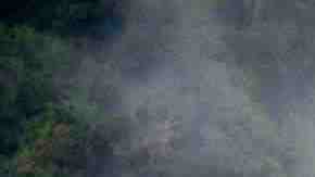 Photo by Westend61 / Getty