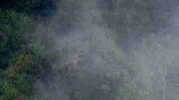 Photo by Westend61 / Getty