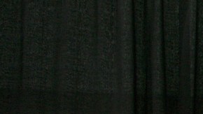 Carlos Alazraqui attends Stan Lee's Los Angeles Comic Con 2017. Photo by Angela Papuga/Getty Images.