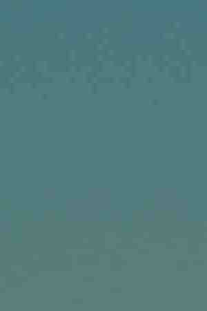 Photo by Manuela Durson / EyeEm